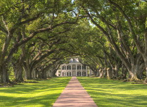 plantations-private-driver-new-orleans